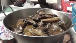 Feria gastronómica migrante en Tijuana
