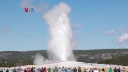 Perayaan 150 Tahun Taman Nasional Yellowstone