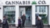 Trump signals support for reclassifying cannabis as a less dangerous drug, in line with Harris' position