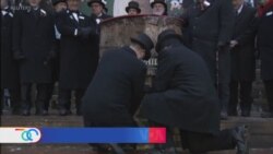 Día de la marmota: Tradición estadounidense que asegura predecir la llegada de la primavera