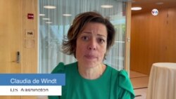 Energías limpias en Latinoamérica -Claudia de Windt- opinión