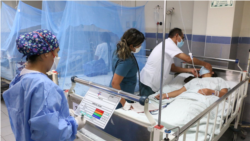 La OMS advierte que el calentamiento global impulsa el dengue