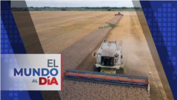 El Mundo al Día:" Preocupación por la seguridad alimentaria mundial