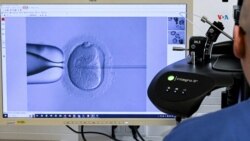 La Legislatura de Alabama votó un proyecto de ley para proteger el procedimiento de Fertilización In Vitro.
