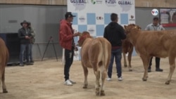 Principal feria agropecuaria de Colombia destaca los avances en el desarrollo rural 