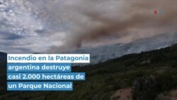  Incendio en la Patagonia argentina destruyen casi 2.000 hectáreas de un Parque Nacional