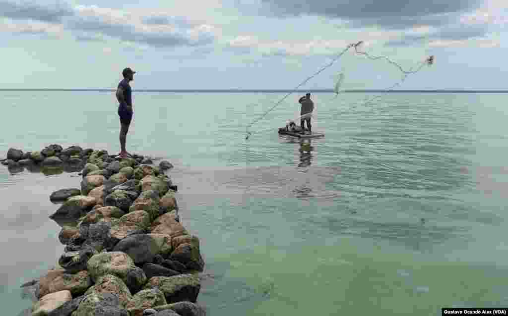 Pescadores de comunidades ubicadas en el norte de Maracaibo, colindantes con el Lago, ejercen su oficio a pesar del &quot;verdín&quot; y la contaminación.&nbsp;