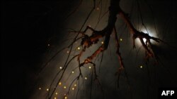 Embers from a bonefire float in the air during the Sominsai Festival at Kokuseki-ji Temple in Oshu, Iwate Prefecture, Japan, Feb. 17, 2024.