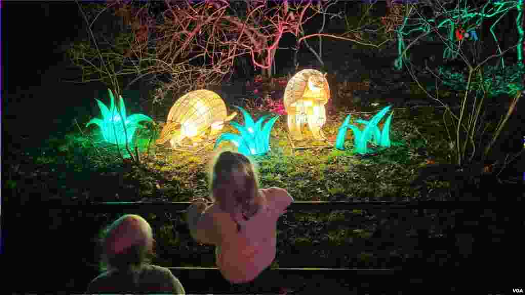 Los que más disfrutan de esta tradición navideña son los niños que se deleitan con animales iluminados a lo largo del paseo de luces.