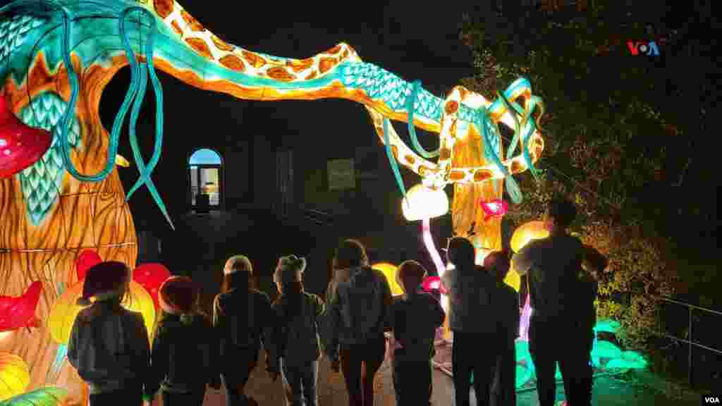 &#39;Zoolights 2023&#39; es diversión para adultos y niños que aprecian los iluminados senderos.