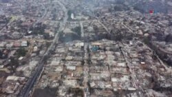 Incendios forestales en Chile dejan más de 120 muertos
