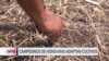 Apuesta de los campesinos de Honduras para enfrentar el cambio climático