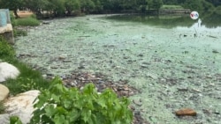 Adelso Pineda, contaminación Parque La Marina, Venezuela