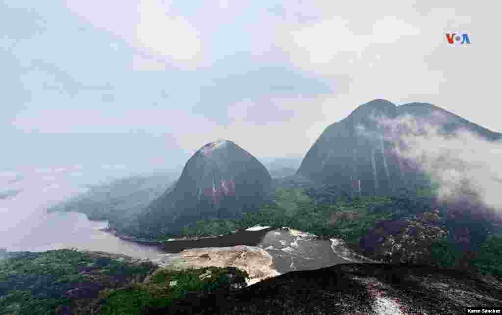 La flor de Inírida también crece alrededor de los Cerros de Mavicure, tres imponentes rocas de hasta 800 metros de altura que se alzan sobre la selva amazónica colombiana en medio de las cuales transita el majestuoso río Inírida.
