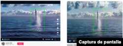 Comparación del clip publicado en TikTok y un clip de la película.