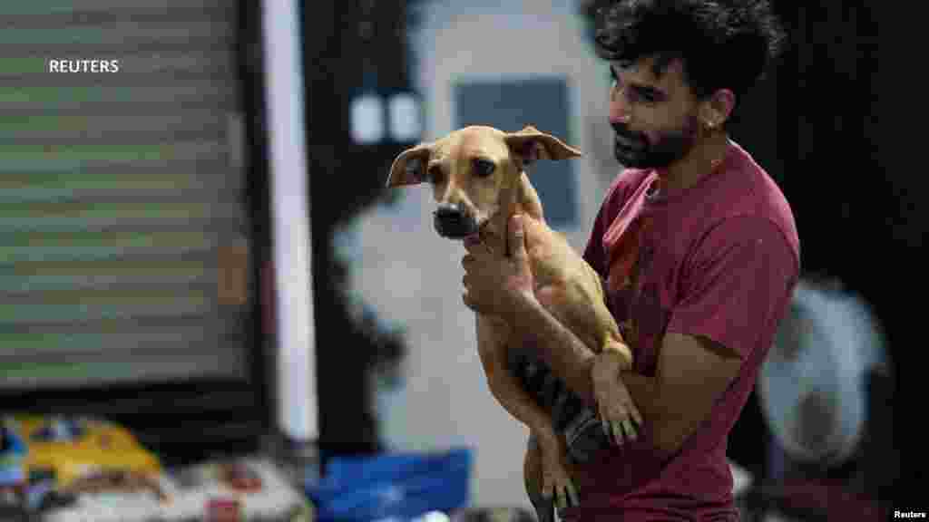Perros en situación vulnerable frente al paso de Beryl por México fueron rescatados y llevados a un refugio improvisado. 