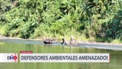 Honduras: Ambientalistas bajo amenazas 