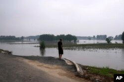 中国河北廊坊一位村民看着被洪水淹没的庄稼。（2023年8月2日）