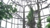 Tropicario del Jardín Botánico de Bogotá, un pulmón verde para la conservación