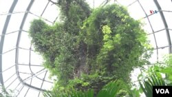 Tropicario del Jardín Botánico de Bogotá