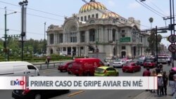 Detectan primer caso de gripe aviar en México