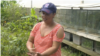 Centro de reproducción de especies silvestres en la Amazonía ecuatoriana busca fortalecer la conservación 