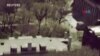 16x9 Image