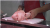 Cada vez son más los argentinos que han tenido que dejar de comer carne por su elevado precio y se han volcado a productos alternativos como el pollo.
