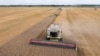 FILE - Harvesters collect wheat in Zghurivka, Ukraine, Aug. 9, 2022. U.N. Secretary-General Antonio Guterres welcomed this week an extension of the Black Sea Grain Initiative, which allows Ukrainian grain to be shipped through Black Sea ports.