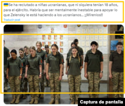 Captura de desinformación en X.