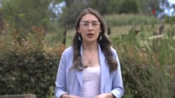 Jabones a base de aceite de cocina usado son la nueva solución para salvar el agua