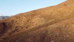 Agropelo, una experiencia chilena a favor del ahorro de agua