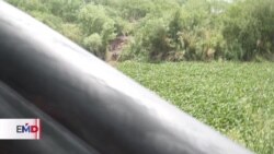 Dos migrantes mueren al cruzar el Río Bravo entre Tamaulipas y Texas