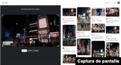 Captura de los resultados de la búsqueda de imagen con Google.