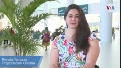 Tratado Global de los Océanos -Renata Terrazas - Oceana opinión