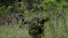 ARCHIVO - En esta fotografía de archivo del 20 de octubre de 2016, soldados usan machetes para talar plantas de coca en una plantación ilegal de coca durante un viaje de prensa organizado por el gobierno a la comunidad Urkupina de Chapare, Bolivia.