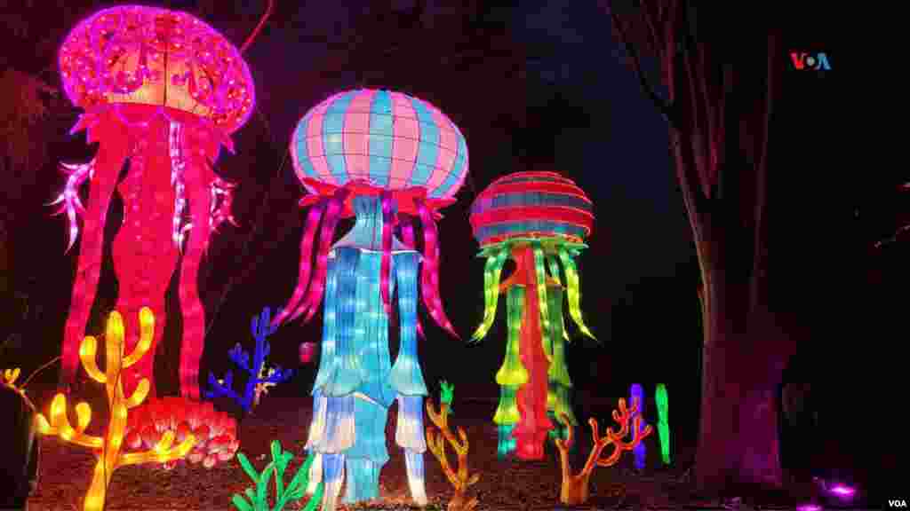 Figuras que evocan el mundo animal cobran vida con miles de luces en el &#39;Zoolights 2023&#39; en la capital de Estados Unidos.