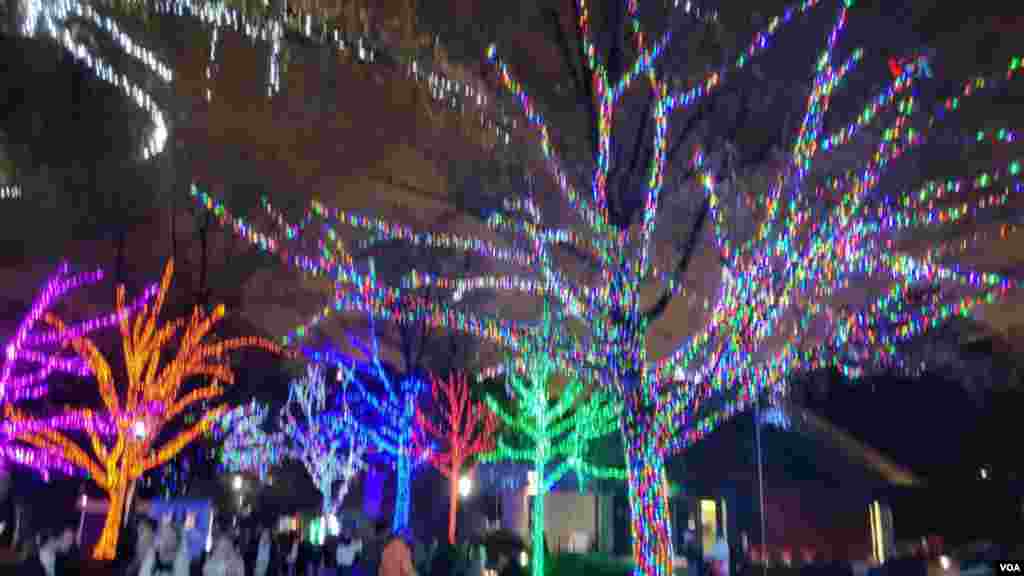 &#39;Zoolights 2023&#39; celebra su décimo quinto año como parte de la tradición decembrina en Washington.