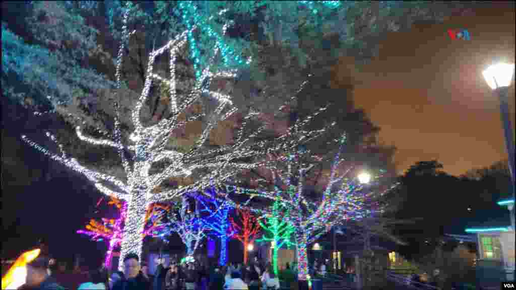 El Zoolights, como todos los años, atrae estos días a miles de visitantes que quedan cautivados por este &quot;paraíso invernal&quot; como lo denomina el Zoológico Nacional del Smithsonian.
