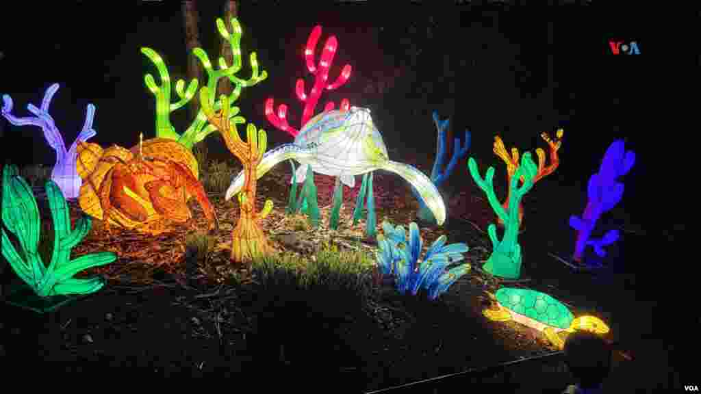 El mundo marino también está representado en el &#39;Zoolights 2023&#39;.
