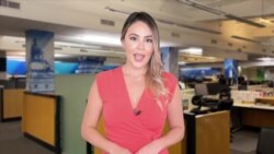 ¿Qué está en juego en las elecciones de medio mandato?