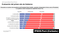 Gráfico evaluación primer año de gobierno