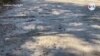 Descubren huellas de dinosaurios que estaban bajo el agua en Texas 