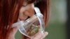 Legalisasi Ganja di Kanada Tak Kurangi Perdagangan Gelap  