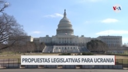 Congreso estadounidense evalúa apoyo a fuerza insurgente en Ucrania