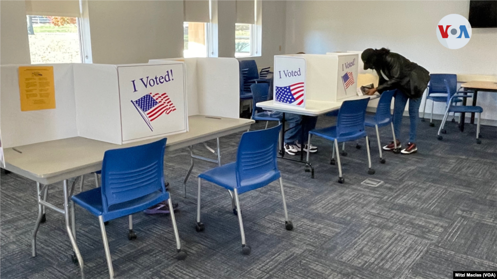 Los votantes llegaban ordenadamente a un centro de votación en la biblioteca Bull Run, en Manassas, Virginia.
