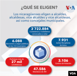 Infografia sobre las elecciones. VOA
