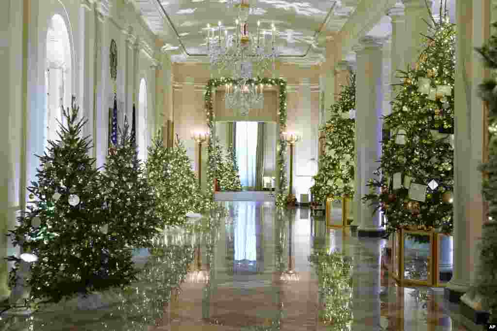 Árboles que se acomodan a lado y lado del pasillo inundando el lugar del espíritu navideño.