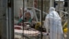 Ebola Sierra Leone