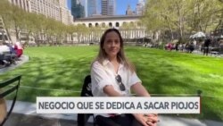 Nueva York: ecuatoriana saca piojos y gana 4.000 dólares por día 